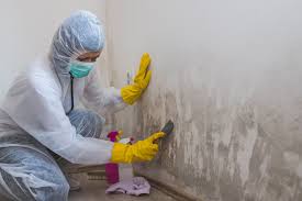 Best Mold Remediation for Healthcare Facilities  in Philipsburg, PA